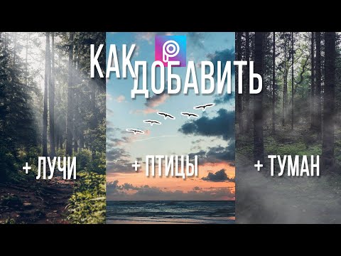 Видео: Мобильная фотография / Как добавить на фото птиц, лучи, туман / Обработка фото для Инстаграма