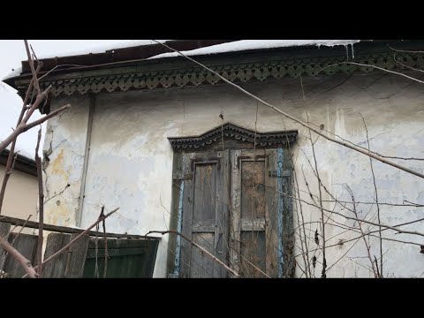 Видео: Дебри Борщаговки. Прогулка- репортаж