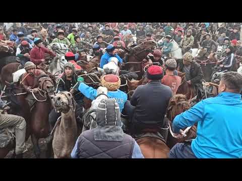 Видео: Улак башталды/ Улак жерден көтөрүлбөй, улакты женилдетти! Базар Коргондогу улак.