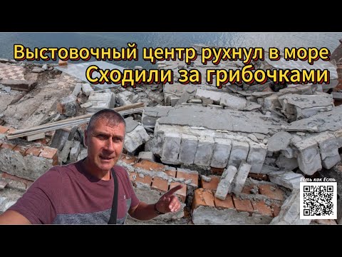 Видео: Дом рухнул в море / Жизнь в Эстонии / В лес за грибами / Влог