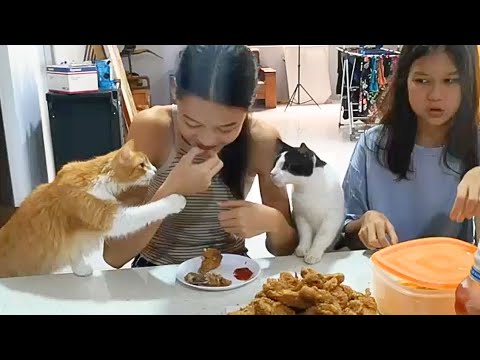 Видео: Наши будни в Коста-Рике. Октябрь 2025 г.