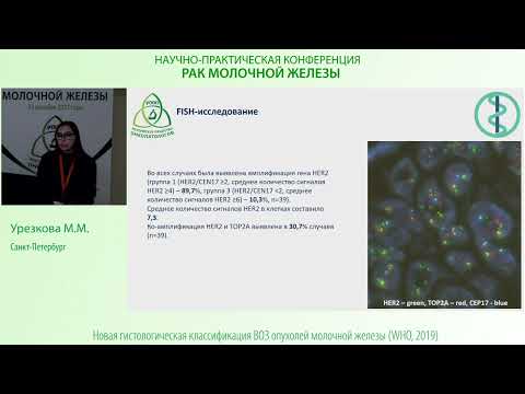 Видео: Трижды позитивный рак молочной железы – клинико-морфологические особенности