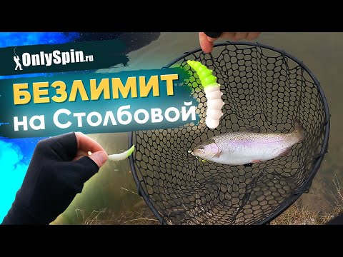 Видео: Ловля ФОРЕЛИ на спиннинг. Безлимит на СТОЛБОВОЙ. Рыбалка с #OnlySpin