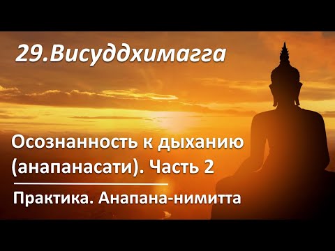 Видео: 029. VIII.186-225. Осознанность к дыханию (анапанасати). Часть 2. Метод практики. Нимитта