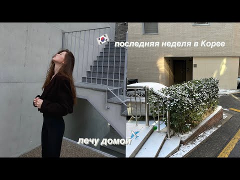 Видео: влог из Кореи🇰🇷 лечу домой