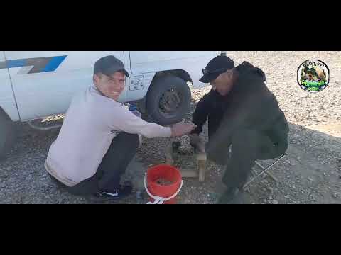 Видео: Конимех Шур кул балик ови 03.11.2024 й