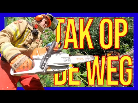 Видео: Ветка на дороге - ДОБРОВОЛЬЦЫ ГОЛЛАНДСКИХ ПОЖАРНЫХ -