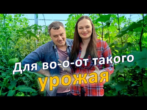 Видео: Дача НЕ РАДУЕТ? Вот что надо делать!