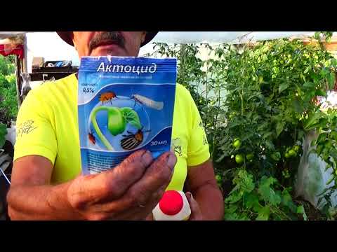 Видео: Не пропустите защиту огурцов и помидор ! Это ОЧЕНЬ важно!