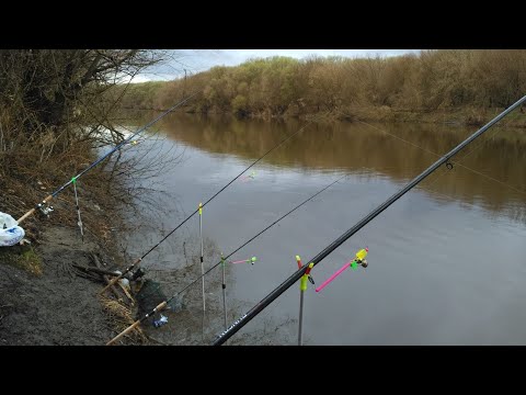 Видео: Фидер против донки. Кто ты? Фидерист или доночник?