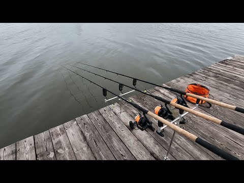 Видео: Зимняя ловля карпа на уловистый флэт-фидер