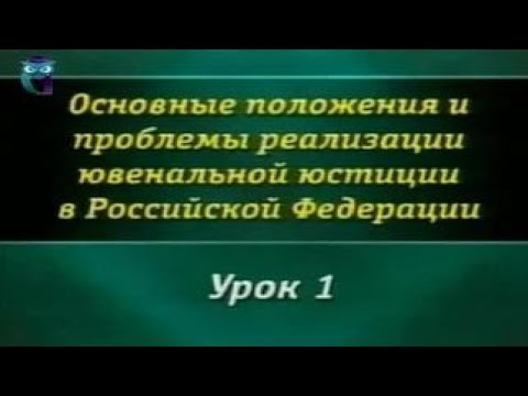 Видео: Урок 1. Концепция ювенальной юстиции и основные правовые акты