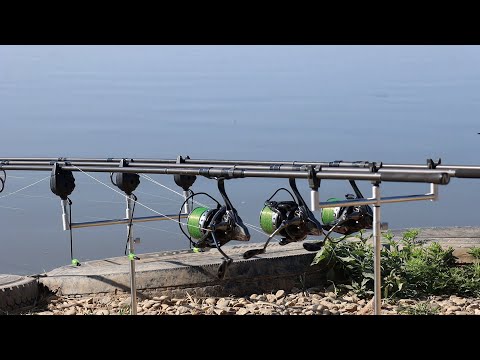 Видео: Разведал водоём с карпами, рыбалка в завоз