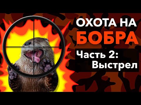 Видео: Охота на Бобра с Арбалетом. Mainhunter Doom.