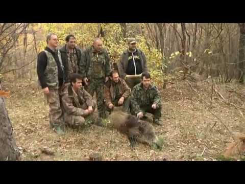 Видео: Лов в Зелениково