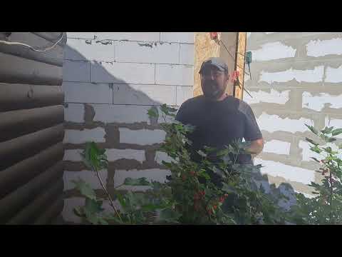 Видео: Заканчиваем  строительство# Противопожарная стена# ( Брандмауэр)#