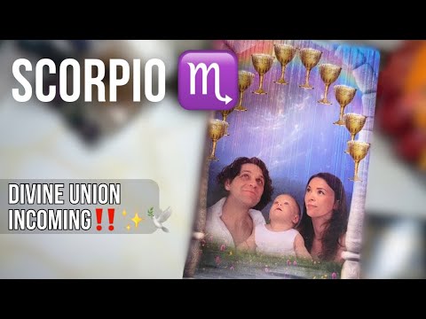 Видео: СКОРПИОН ♏️ БОЖЕСТВЕННЫЙ СОЮЗ МОЖЕТ ПРОИЗОЙТИ В ЛЮБОЙ МОМЕНТ ‼️🕊️💍🌈