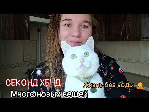 Видео: СЕКОНД ХЕНД, ДЕШЁВЫЙ ДЕНЬ/УШЛА НА ТЕРАПИЮ😂 #жизнь#секондхенд#скидки 