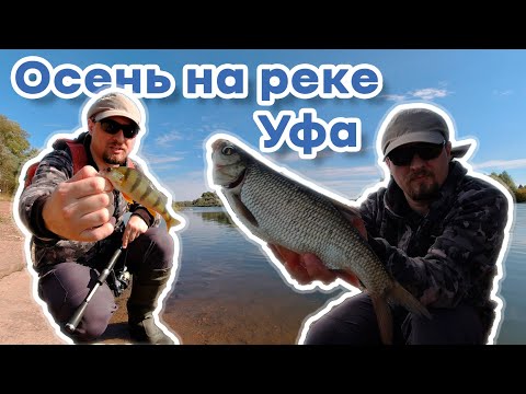 Видео: Осенняя рыбалка на реке УФА.