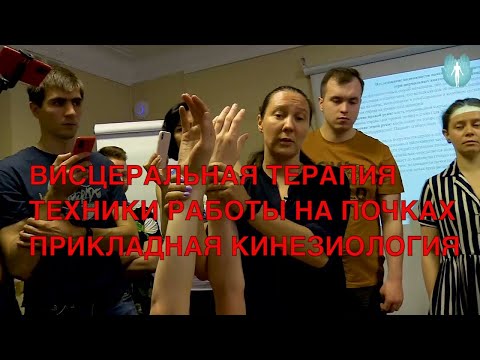 Видео: Висцеральная терапия. Почки. Техники работы. Прикладная кинезиология. ИКПК