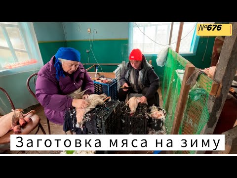 Видео: Как в Сибири готовятся к зиме. Жизнь и будни в Омской деревне.