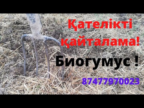 Видео: Қателікті қайталама !  Биогумус шубалшаң! Biogumus Shymkent