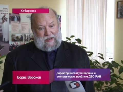 Видео: Сохранение Шантарских остравов