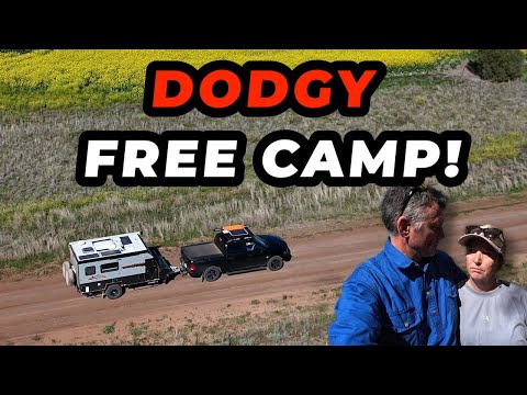 Видео: Dodgy Free Camp | Кемпинг в пабе | Юты в загоне
