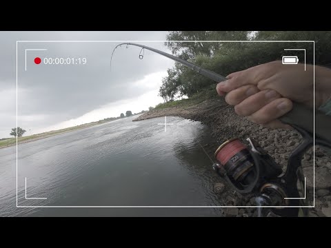 Видео: Судак на воблер ночью 🌙 Реальный жор на бунe в Голландии 🎣