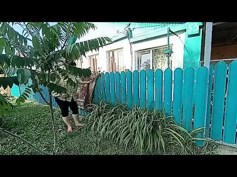 Видео: Хотели поставить бассейн, но что-то пошло не так