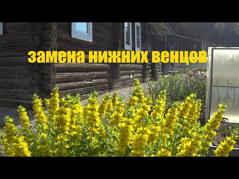 Видео: Замена гнилых бревен в деревенском доме.
