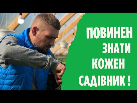 Видео: У чому різниця між сортом та гібридом