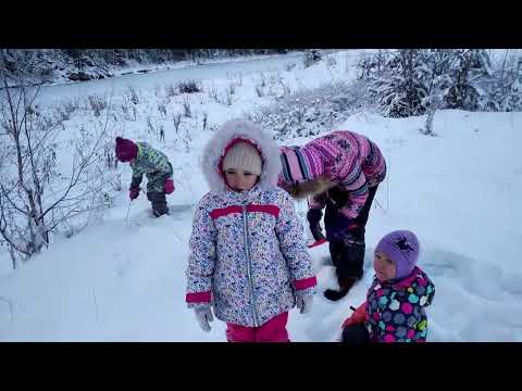 Видео: Как мы проводим выходные зимой