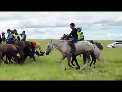 Видео: Гурванзагал "Баян-Эрхэт-2025" шүдлэн