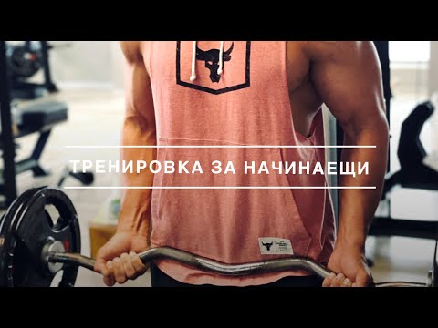 Видео: Тренировка във фитнес за начинаещи.