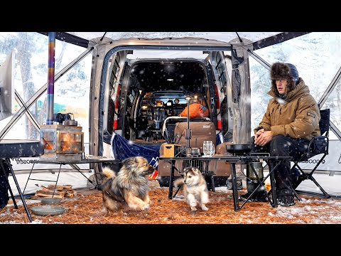 Видео: ЗИМНИЙ СНЕЖНЫЙ ЛАГЕРЬ со ЩЕНКОМ ХАСКИ. 60-СЕКУНДНАЯ ПАЛАТКА и ДРОВЯНАЯ ПЕЧЬ