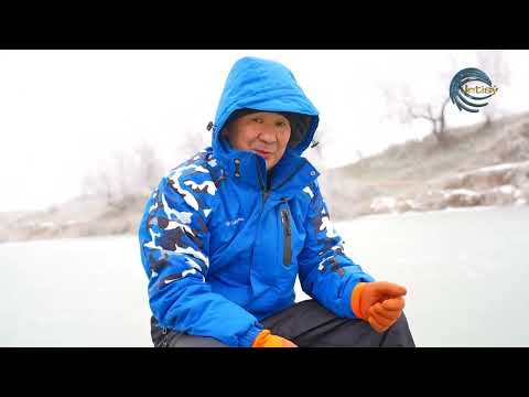 Видео: МҰЗ ҮСТІНДЕ ХАНБАЛЫҒЫН АУЛАУ / ФОРЕЛЬ / ОЛЖА / 06.01.2024