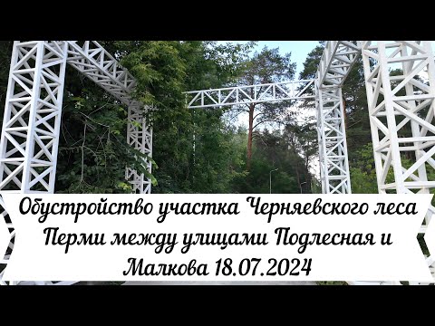 Видео: Обустройство участка Черняевского леса Перми между улицами Подлесная и Малкова 18 07 2024