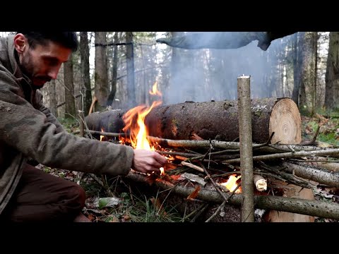 Видео: Бушкрафт эксперимент с нодьей и гамаком