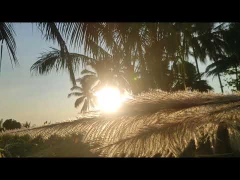 Видео: осы әнді үнемі тыңдаңыз, бәрімізге береке