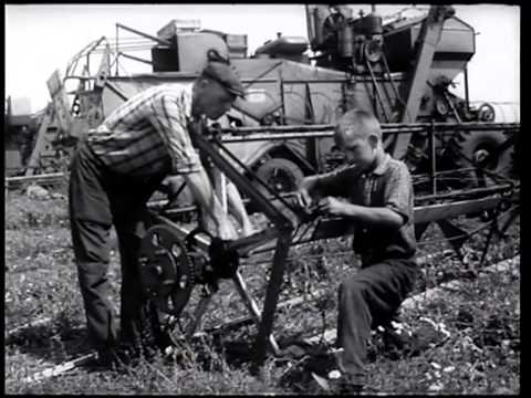 Видео: ...хвала рукам, что пахнут хлебом