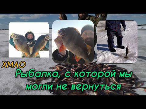 Видео: Рыбалка, с которой мы могли не вернуться! Окуни-горбачи в апреле. ХМАО