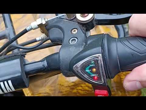 Видео: Детский электрический квадроцикл Motax Mini Grizlik 800W