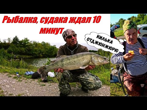 Видео: Рыбалка, судака ждал 10 минут!