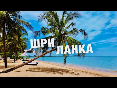 Видео: ЛЕТИМ НА ШРИ-ЛАНКУ❗️Отдых на ВСЁ ВКЛЮЧЕНО в SUN SIYAM PASIKUDAH ❗️СТОИТ ЛИ ЕХАТЬ 🇱🇰❓Шри-Ланка 2025