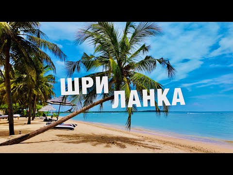 Видео: ЛЕТИМ НА ШРИ-ЛАНКУ❗️ОБЗОР ОТДЫХА на ВСЁ ВКЛЮЧЕНО в SUN SIYAM PASIKUDAH 2024! ШОК❗️СТОИТ ЛИ ЕХАТЬ 🇱🇰❓