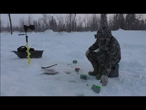 Видео: Супер снасть!!! Супер клев на ручье!!! Накосил кучу сороги с удовольствием))) Зимняя рыбалка 2024 г