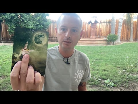 Видео: Ежедневное таро — это совершенно новая реальность! Давайте внесем некоторые изменения
