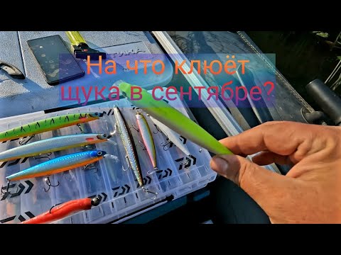 Видео: На что клюёт щука в сентябре? Рыбалка на хищника в сентябре.