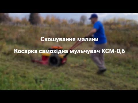 Видео: Косарка самохідна мульчувач КСМ-0,6. Скошування малини